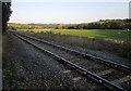 Railway line below Brightley Wood