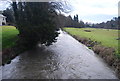 River Wey