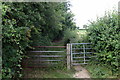 Bridleway by Wootton Woods