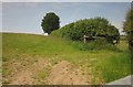 SS8928 : Field boundary just in Exmoor by Derek Harper