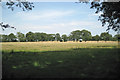 Fields east of Kineton Coppice