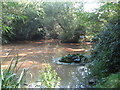 Pond at Batts Pond Lane