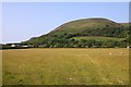 Looking over a field to Bossington Hill