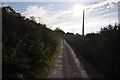 North Devon : Warcombe Lane