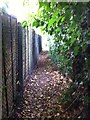 Public footpath to Northampton