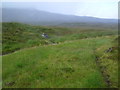 NN4762 : Deer track by Allt Dubh Garbh west of Loch Ericht by ian shiell