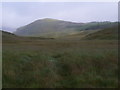 NN4763 : ATV track through grasses west of Loch Ericht  by ian shiell