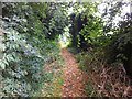 Public footpath to Northampton