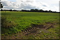 Farmland near Stages Platt