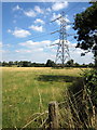 Pylon in the pasture