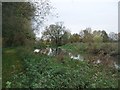 River Ivel (Broom River) above Holme Mill