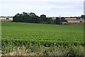 Fields by the old Railway