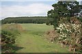 Track to Coneysthorpe Banks Wood