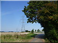 Pylons seen from Eshcol Road