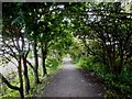 The Old Waggonway, Killingworth