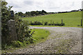 Track to Rissick Barns