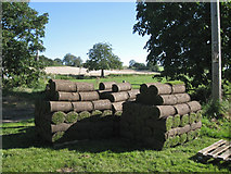 SP1169 : Turf lifted, rolled, and stacked on pallets, Forde Hall by Robin Stott