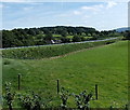 A470 embankment south of Builth Road, Powys