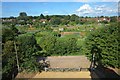 Dereham Allotments