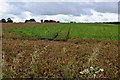 Farmland off Crockington Lane