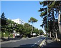 Bath Road, Bournemouth