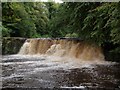 Linn Park waterfall