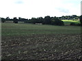 Farmland north of Winkburn