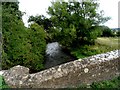 Stone bridge balustrade and the River Evenlode