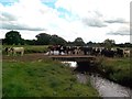 SK1034 : Cattle Crossing the River Tean by Jonathan Clitheroe