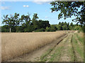 Footpath near the Hog