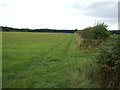 Farmland off Mansfield Road