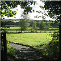 Country southeast of Tanworth-in-Arden, from the churchyard