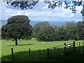 Tir pori ger Llanfairfechan / Grazing land near Llanfairfechan