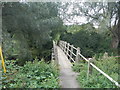 Footbridge Over Sandford Mill Backwater