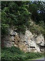 Rock face, Pleasley Vale 