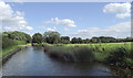 SJ9210 : Canal and farm land north-east of Gailey, Staffordshire by Roger  D Kidd