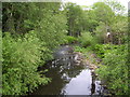 River Don at Hillsborough