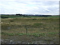 Reclaimed land, Duckmanton Moor