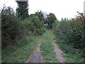 Farm track off Blacksmith Lane, Calow