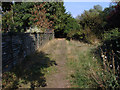 Footpath, Wraysbury