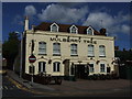 Mulberry Tree, Margate