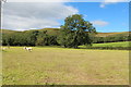 Farmland near Cairnwhin