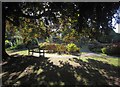 SX9265 : Tessier Gardens by Derek Harper