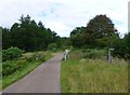 Cattle grid entering Simonside Forest