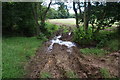 Bridleway crossing a beck near Mill Hill Farm