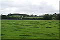 Tufted grass field near Carleys Farm