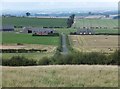 Housing on Branxton Moor