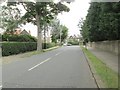 Old Park Road - looking towards Street Lane