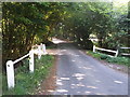 Bridge on Three Oaks Lane