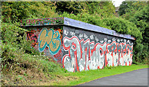 J3470 : Graffiti, Lagan towpath, Stranmillis, Belfast (September 2013) by Albert Bridge